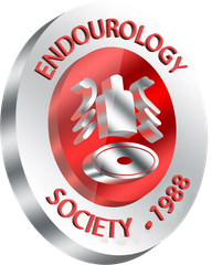 Endourology Society